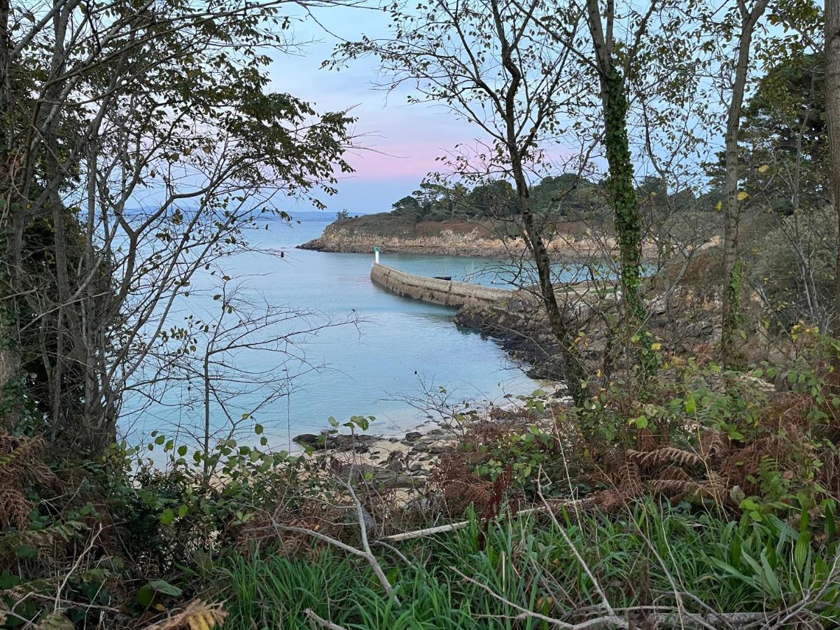 Tres Bel Appartement Vue Mer Avec Piscine Douarnenez Buitenkant foto
